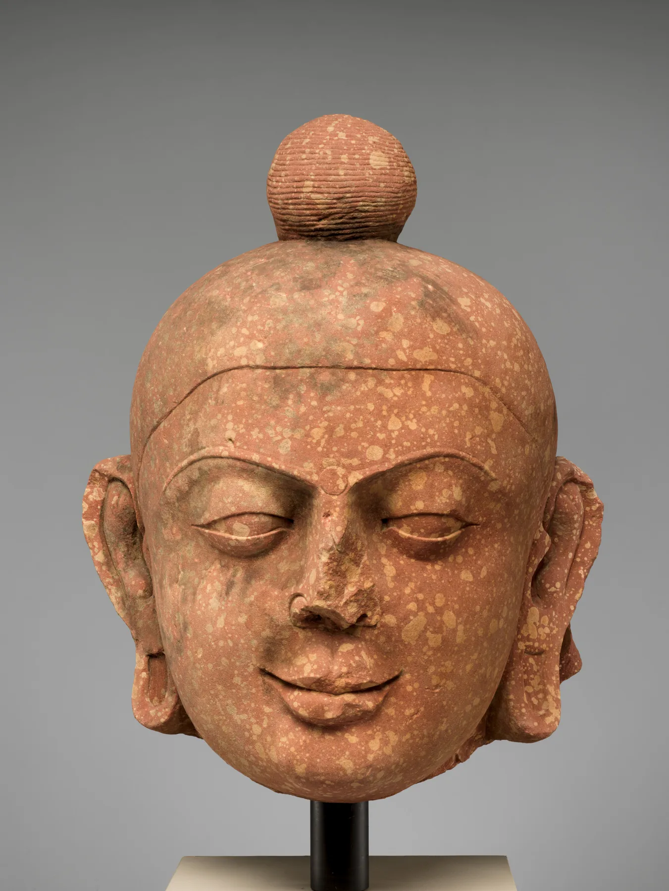 Benekli kırmızı kumtaşından büyük bir Buda ya da Jain tirthankara başı; yüzeyde paralel kıvrımlar, yarı kapalı gözler ve ölçülü bir ifade görülüyor.