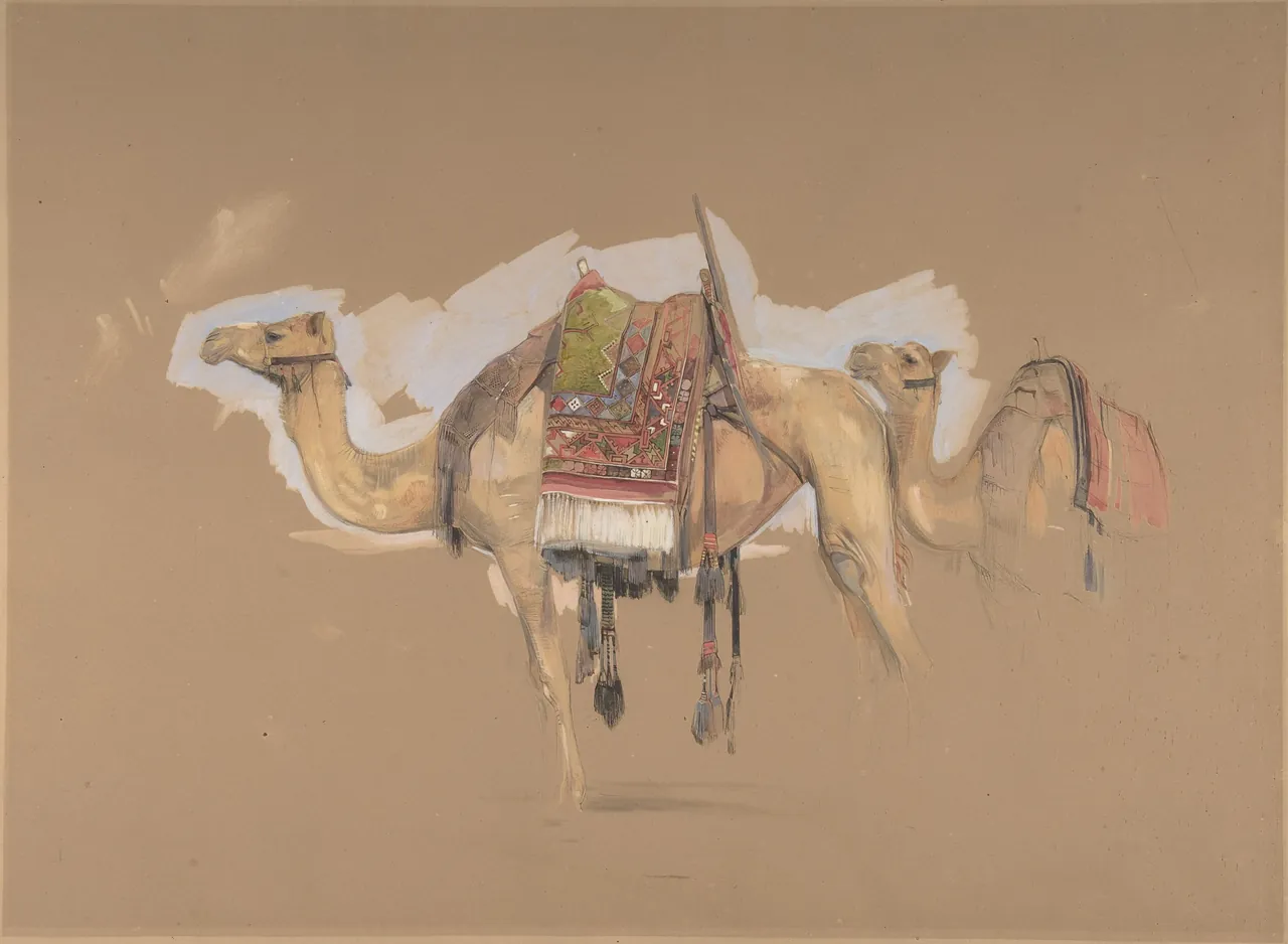 Two camels with colourful saddle cloths are studied against largely unpainted brown paper.