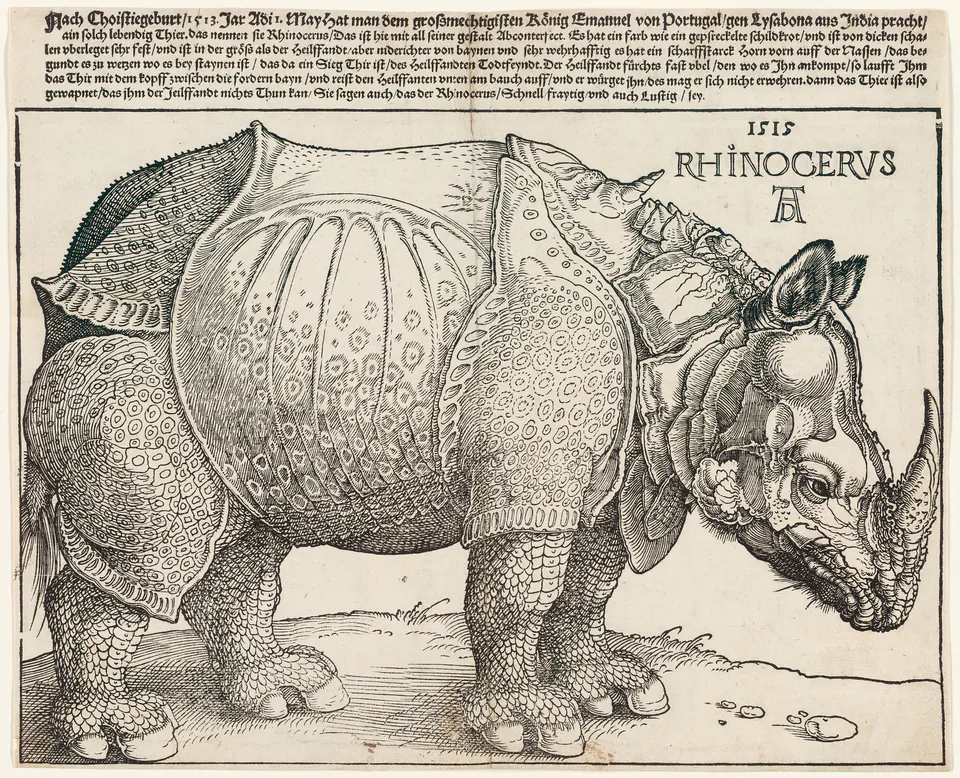 Dürer’s imagined armour-like rhinoceros shown in profile in a 1515 woodcut