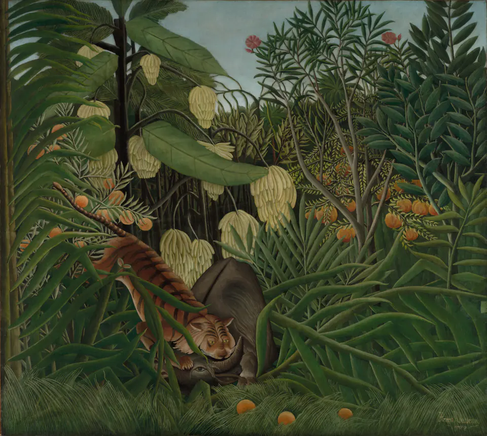 A tiger attacks a buffalo amid overlapping green jungle foliage