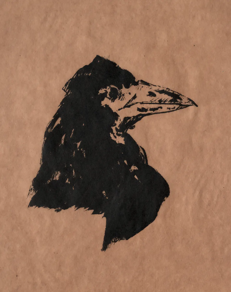 Raven’s Head in Profile by Édouard Manet, a stark lithographic bird head made for Mallarmé’s The Raven