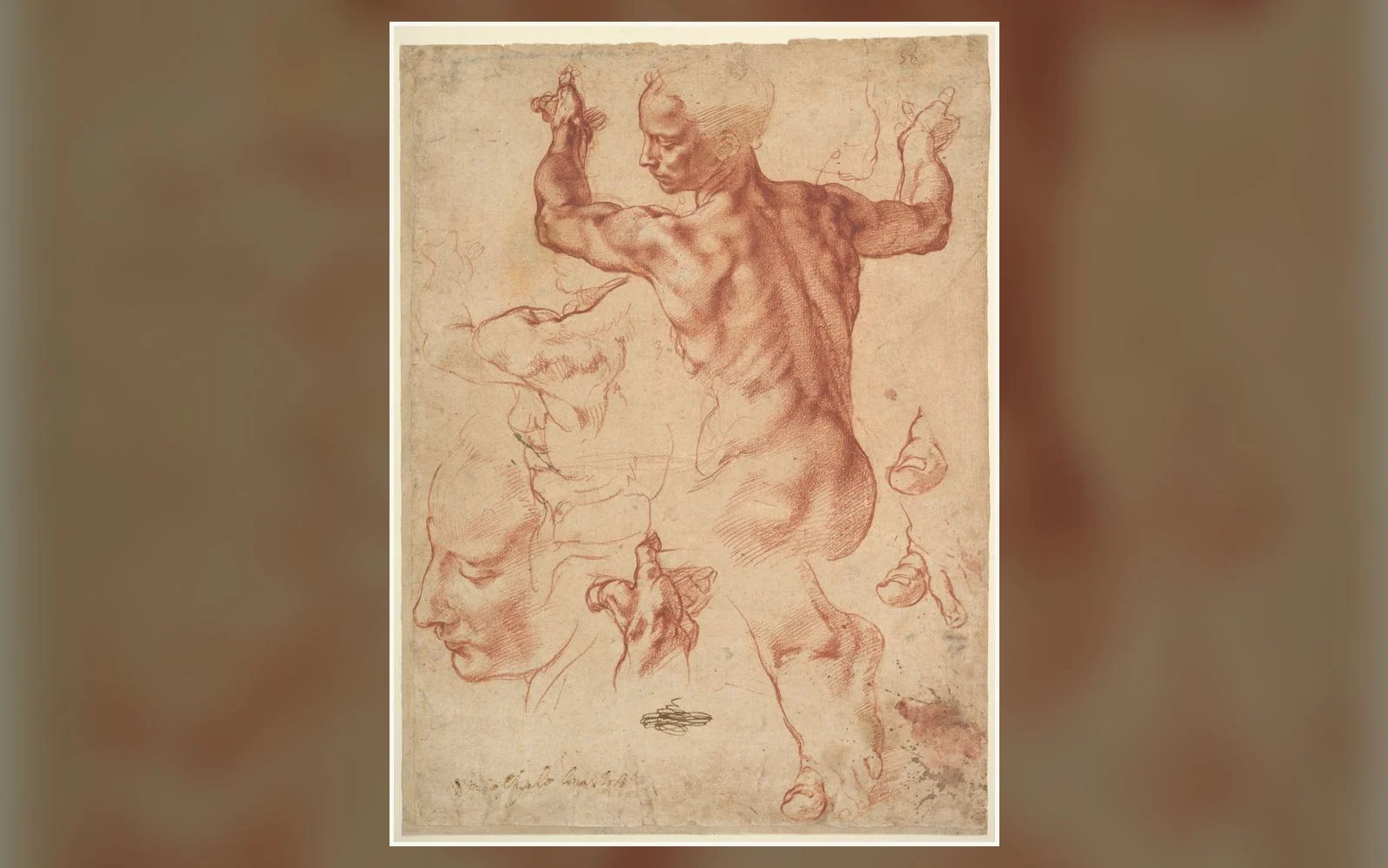 Studies for the Libyan Sibyl by Michelangelo, from The Met's public-domain Open Access record