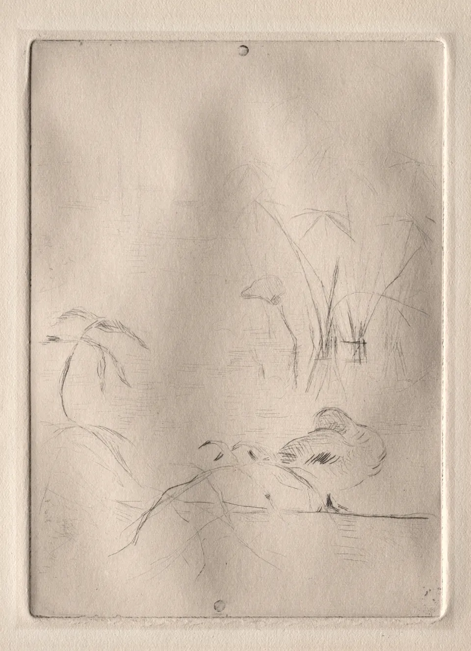 The Duck by Berthe Morisot, an etching and drypoint study of a duck on water