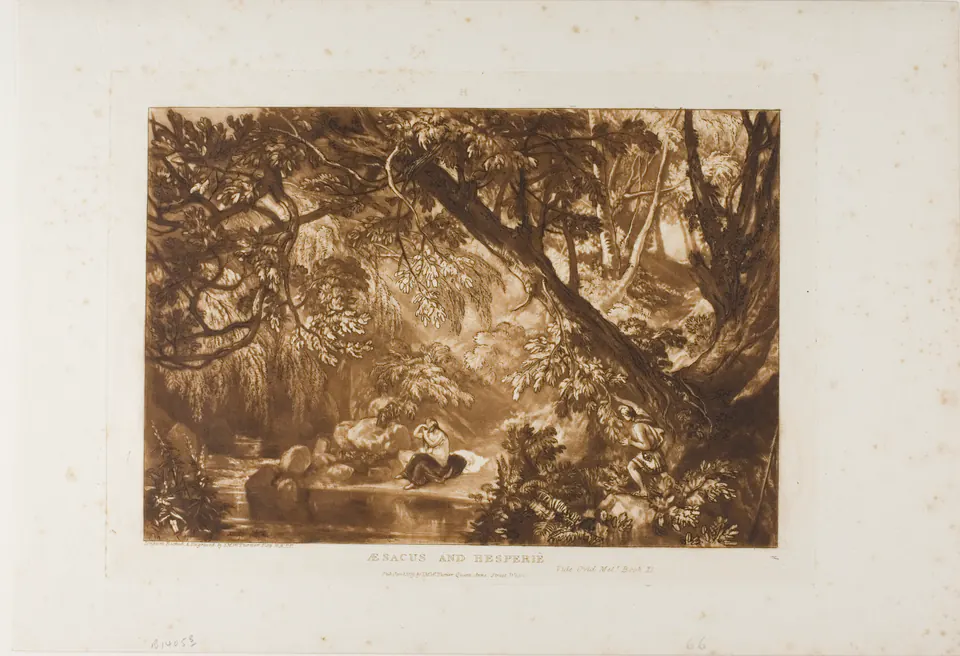 Mythological figures moving through a wooded landscape in Turner’s Aesacus and Hesperie