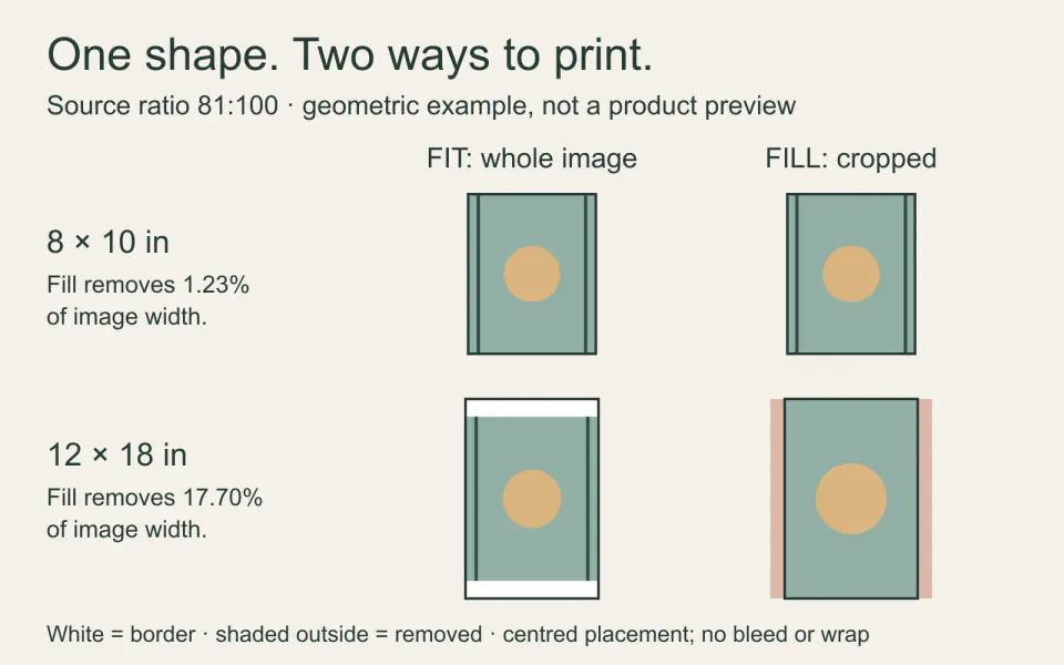 An 81:100 geometric image is fitted or cropped to 8 by 10 and 12 by 18 inch sheets, showing borders and the width lost when filling.