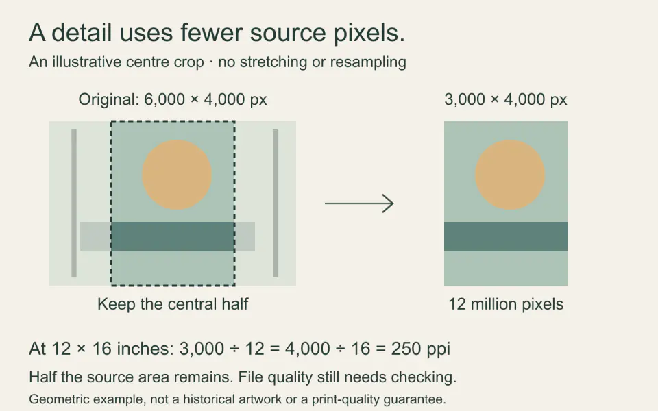 A 6000 by 4000 pixel geometric image with a central 3000 by 4000 crop, leaving half the source area and 250 ppi at 12 by 16 inches.