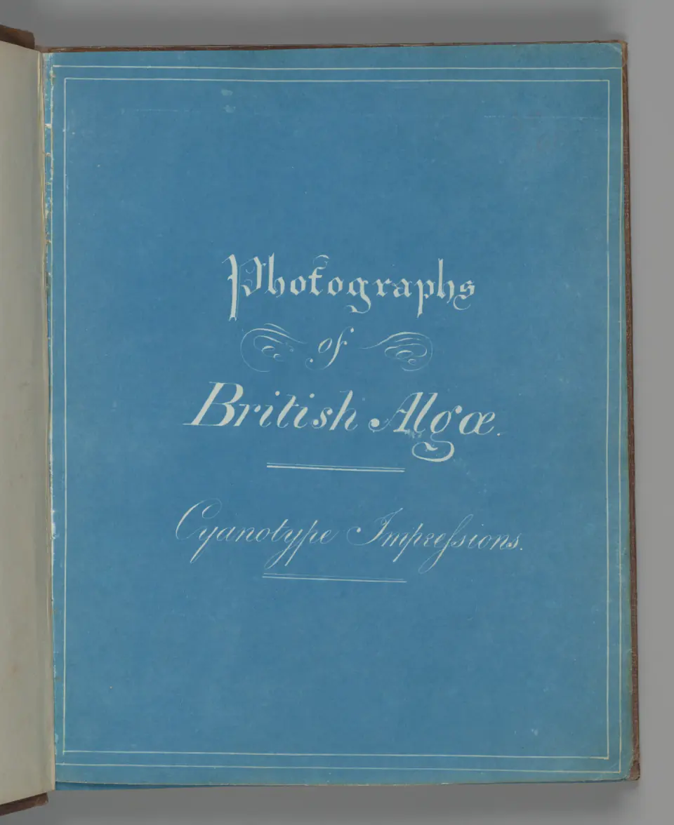 Açık bir albüm, beyaz el yazısıyla Photographs of British Algae, Cyanotype Impressions yazan mavi siyanotip başlık sayfasını gösteriyor.
