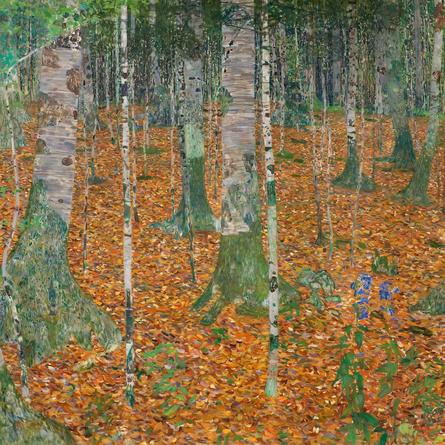 Birch Forest (1903), Gustav Klimt — restored fine-art print