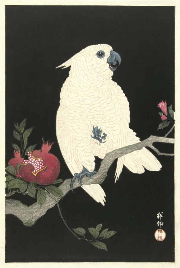 Cockatoo and Pomegranate (c. 1927), Ohara Koson — restored fine-art print