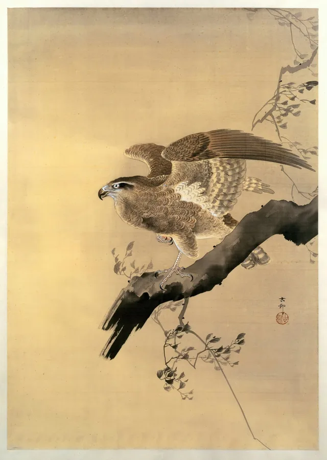 Hawk (c. 1900s), Ohara Koson — restored fine-art print