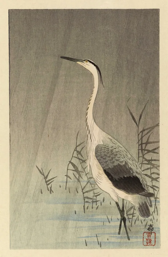 Heron in Shallow Water in Rain (c. 1910s), Ohara Koson — restored fine-art print