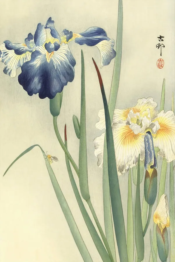 Irises (c. 1910s), Ohara Koson — restored fine-art print