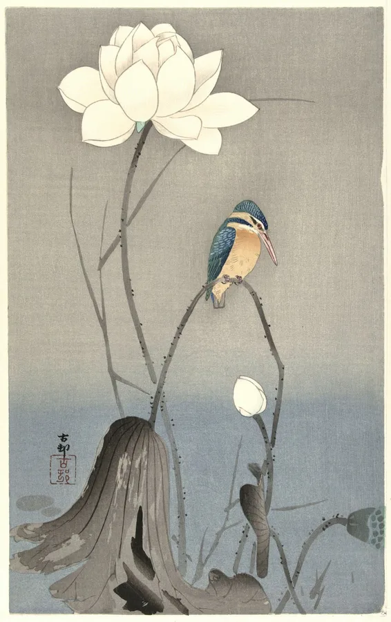 Kingfisher with Lotus Flower (c. 1910s), Ohara Koson — restored fine-art print