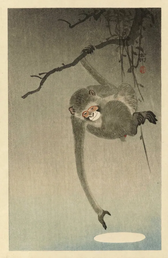 Monkey Reaching for the Moon's Reflection (c. 1910), Ohara Koson — restored fine-art print