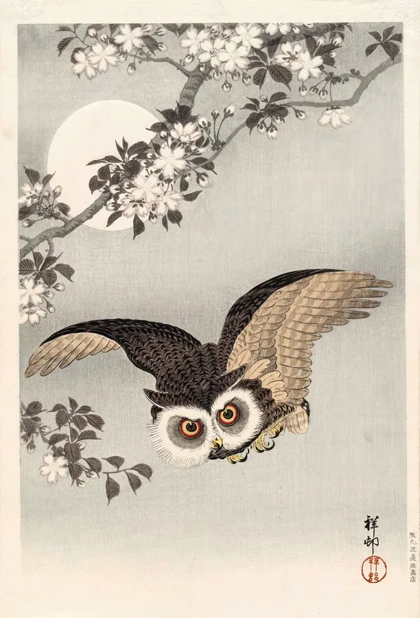 Scops Owl, Cherry Blossoms and Moon by Ohara Koson, restored fine-art print