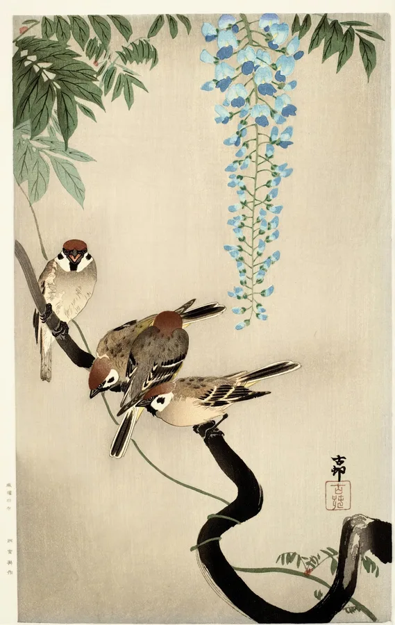 Sparrows and Wisteria (c. 1910s), Ohara Koson — restored fine-art print
