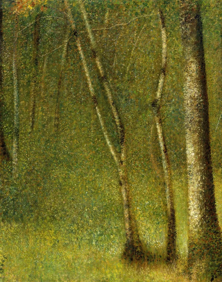 The Forest at Pontaubert (1881), Georges Seurat — restored fine-art print