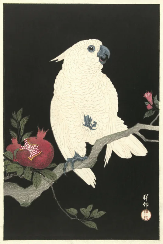 Cockatoo and Pomegranate (c. 1927) by Ohara Koson — free 4K wallpaper