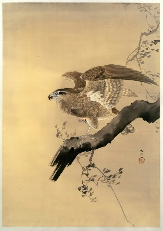 Hawk (c. 1900s) by Ohara Koson — free 4K wallpaper