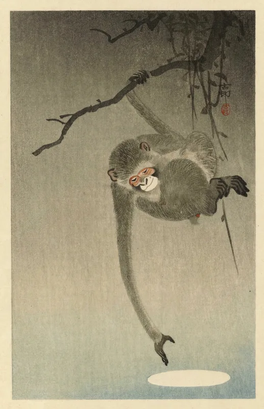 Monkey Reaching for the Moon's Reflection (c. 1910) by Ohara Koson — free 4K wallpaper