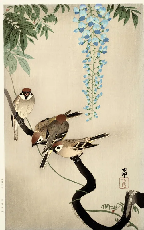Sparrows and Wisteria (c. 1910s) by Ohara Koson — free 4K wallpaper